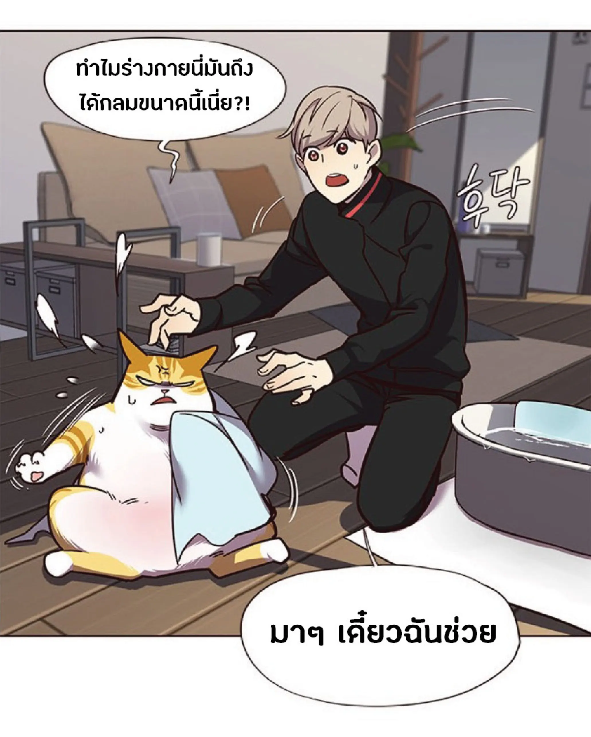 หน้า 41