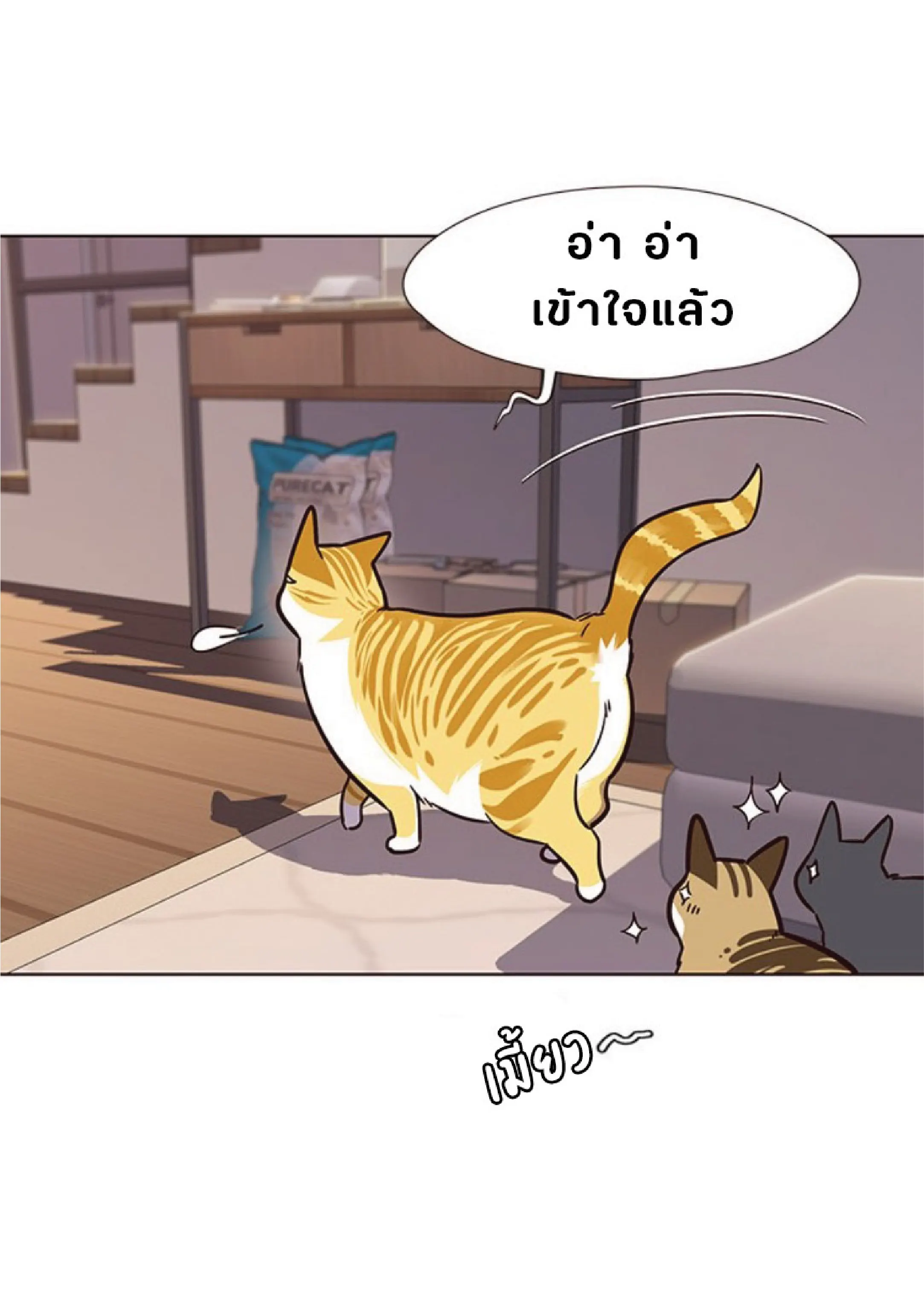 หน้า 53