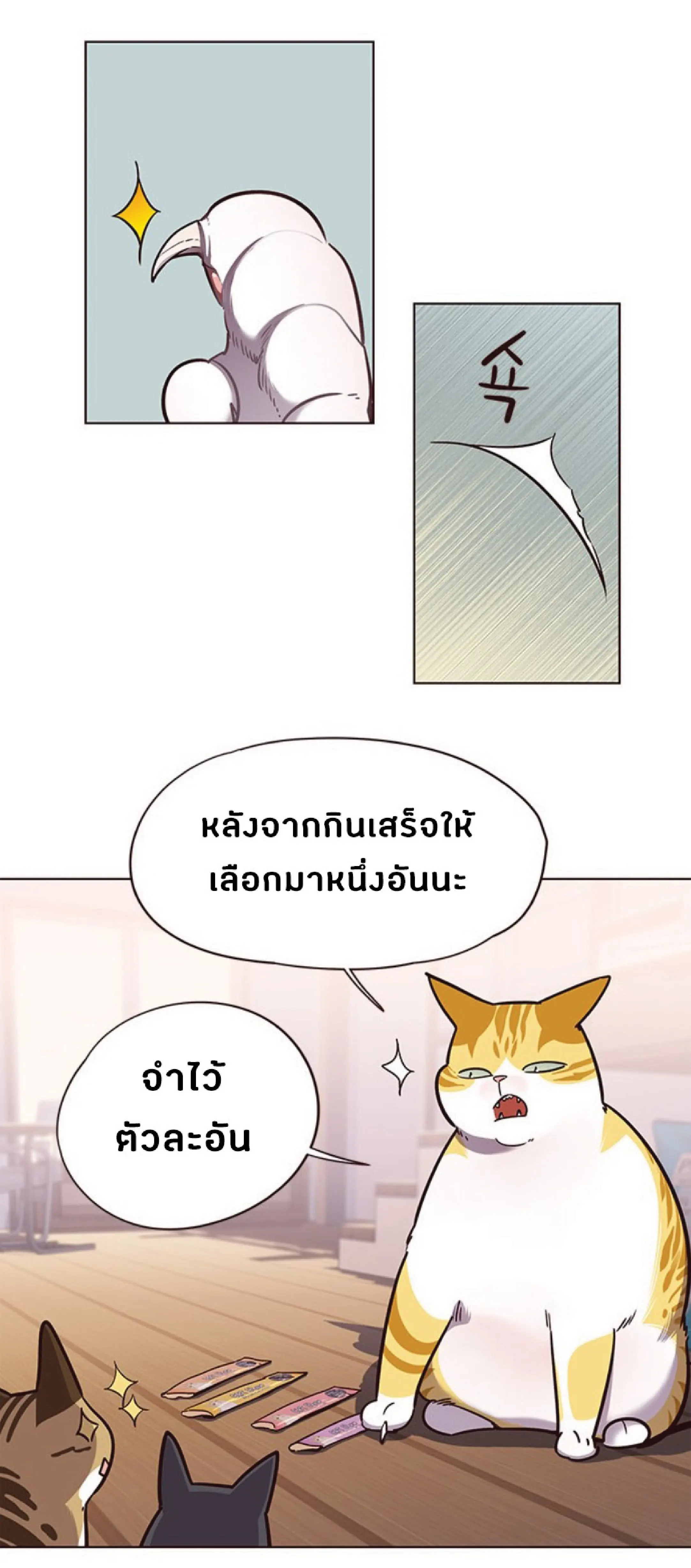 หน้า 62