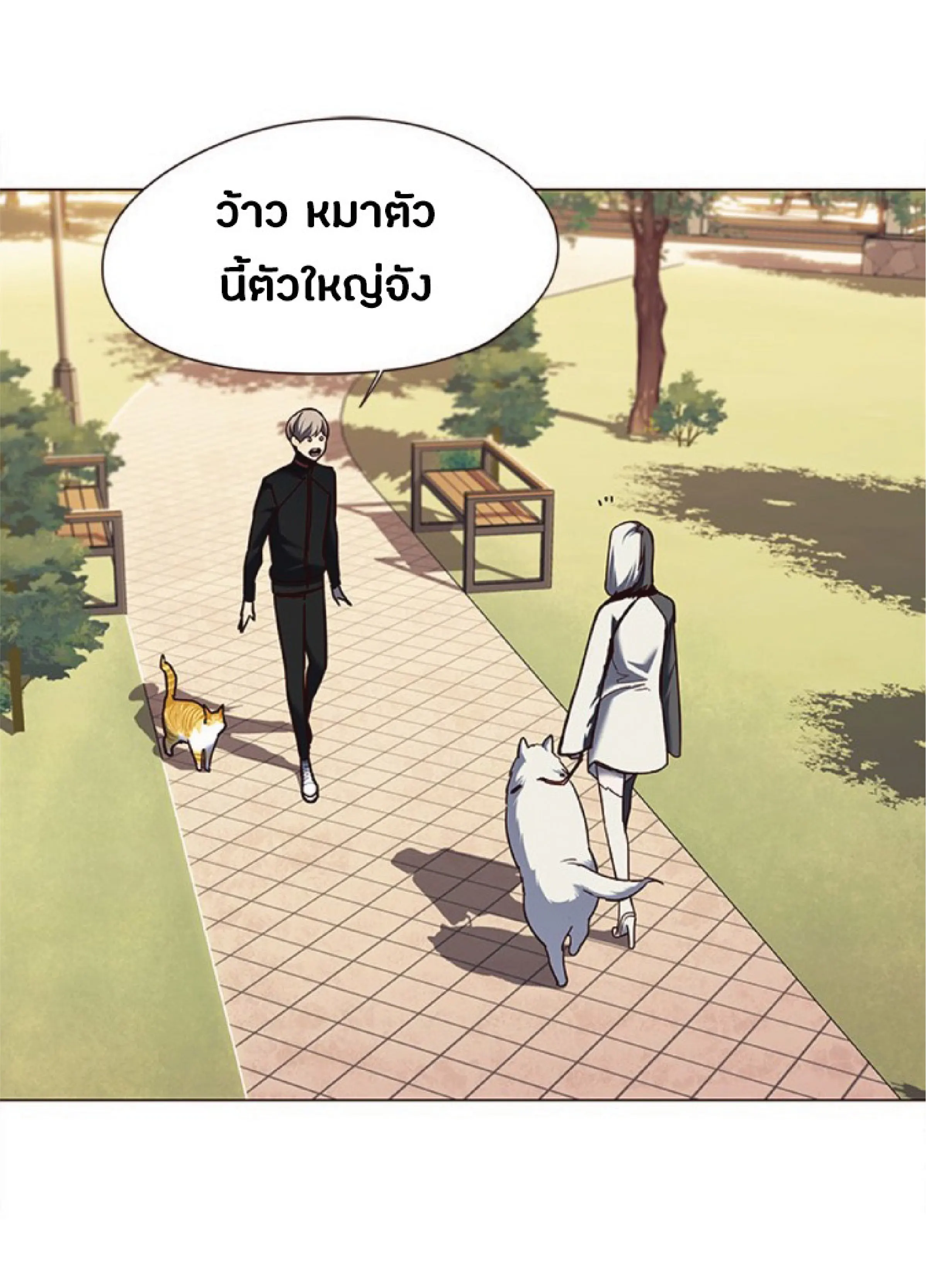 หน้า 51